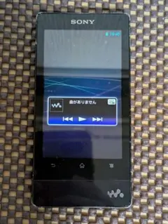 NW-F805 본체 전용 워크맨