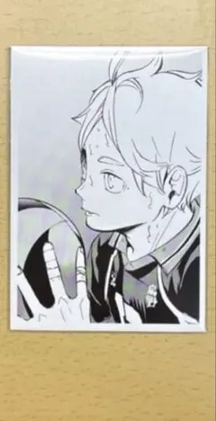 ハイキュー フォトカード 菅原孝支