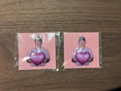 東京ヤクルトスワローズ　レディースデー限定ぷくぷくシール×2 吉村貢司郎