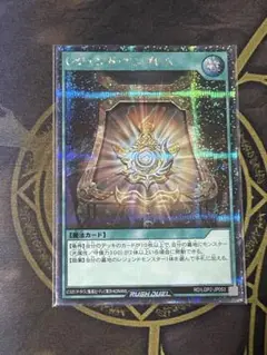 [スリーブ入]遊戯王RD SE レジェンド・エンブレム
