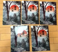 『 5枚まとめ売り 』クリアファイル A4 箱根八里 日本遺産