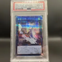 2025年最新】アポロウーサ 絵違いの人気アイテム - メルカリ