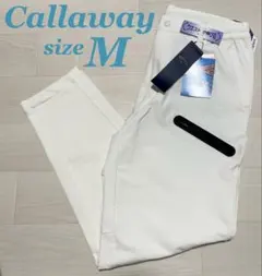 Item thumbnail for item a7c33481-eaa1-4562-8fe3-996311e75058