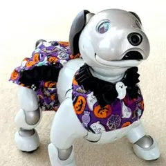 SONY aibo服　パンツセット ハロウィン ｂ