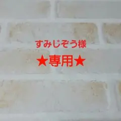 【すみじぞう様専用】