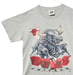 シカゴブルズchicagobullsairjordannikeswooshusa