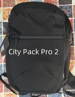 Aer city pack pro 2