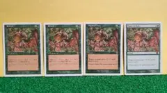 【MTG】樫の力/Might of Oaks 日本語2枚 英語2枚