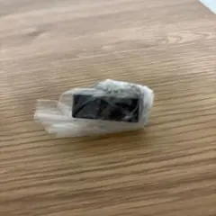 黒のカプセルトイ　鼻セレブ