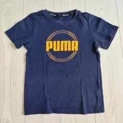 Item thumbnail for item 2dbf5b21-d741-475f-8632-334b6a619917