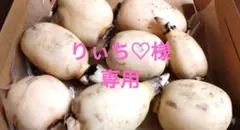 りぃち♡様専用