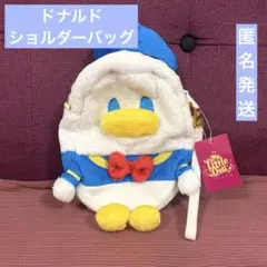 ディズニー　マイリトルドール　ドナルド　ショルダーバッグ　未使用　希少