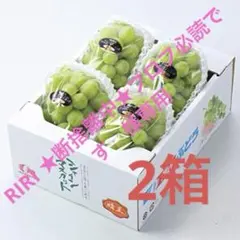 果実の宝石箱｜シャインマスカット＆巨峰 食べ比べ食べ比べ 4パックセット 果実の宝石箱シャインマスカット＆巨峰 食べ比べ食べ比べセット 合計約