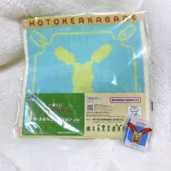 《訳あり》新品★こびとづかん ホトケアカバネ ハンカチ クリップピンバッジ★