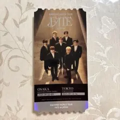 enhypen ピクチャーチケット　VIP席　特典　限定品　エンハイフン