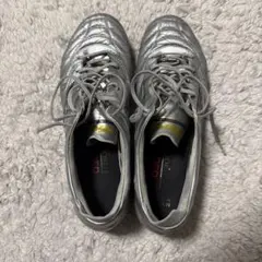 G*T様 MIZUNO モレリアネオIV JAPAN