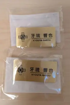 逆転裁判 カプくじ メモリーオブ検事 牙琉響也 ネームプレート風缶バッジ