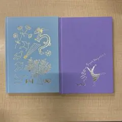 Item thumbnail for item 00ca39f7-1756-4e70-941e-8344e1d29a5e