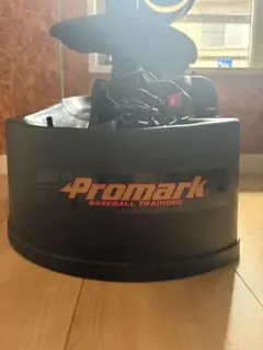 Item thumbnail for item 0a82db1e-9d45-45bb-a254-056c6934dee8