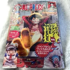 新品未開封 ワンピースマガジンvol.20 シュリンク付き プロモカード付き