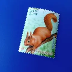 9579 外国切手 フランス 2001年 「キタリス」