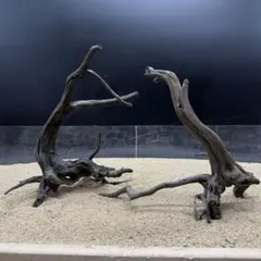 2026年最新】ブランチウッドの人気アイテム - メルカリ