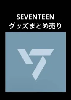 SEVENTEEN まとめ売り 1 エスクプス〜ウジ SEVENTEEN エスクプス トレカ5枚+ペーパースタンド まとめ売り - メルカリ