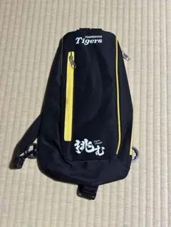 Item thumbnail for item 40842f6c-c74d-460b-ace5-43a7efe18ea1