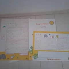 Item thumbnail for item cafebc41-f87a-4c42-9c58-fe7b06fee9c5