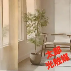 光触媒　人工観葉植物　ウォールグリーン　フェイクグリーン　エバーフレッシュ1.0のサムネイル