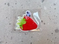 パペットスンスン　アクリルステッカー　イチゴ　PUPPET SUNSUN