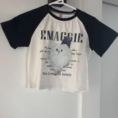 EMAGGIE 半袖 Tシャツ ラグラン S SHEIN 猫