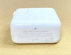 Apple USB-C 電源アダプター A2164 30W Power