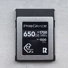 Y*a様 ProGrade CFexpress Type B COBALT 32 け*こ様 ProGrade CFexpress Type B COBALT 32 ProGrade Digital