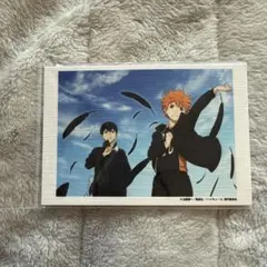 ハイキュー　日向翔陽 影山飛雄 キャンバスカード