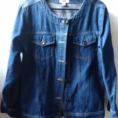 レディースLサイズデニムジャケット。着丈48cm
