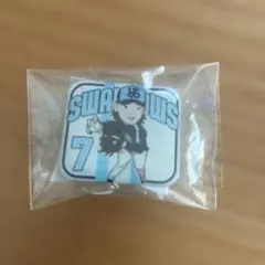 東京ヤクルトスワローズ 長岡秀樹 クルー ピンバッジ