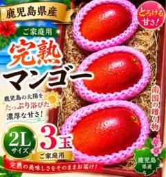 宮崎完熟マンゴー2L3玉 - メルカリ