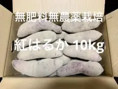 め*ぐ様 無肥料無農薬栽培サツマイモ10kg