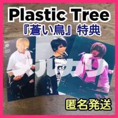 希少】Plastic Tree インディーズ時代チラシフライヤー①有村竜太朗