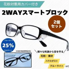 花粉症メガネ フリーサイズ 男女兼用 ゴーグル PM2.5 黄砂 花粉対策 黒