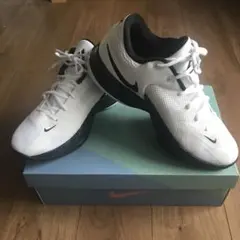 Item thumbnail for item 391cafaf-874b-4a34-a5bd-383faeb6b206