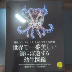 世界で一番美しい海に浮遊する幼生図鑑