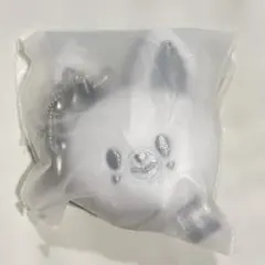 アイエン　フォクシニー　スキズ　ポップアップ　フェイスキーリング　シルバー