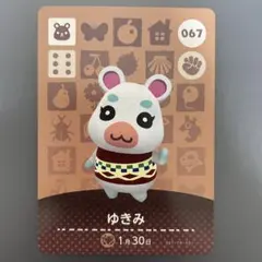 ゆきみ amiibo あつ森 どうぶつの森 ハムスター