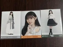 ひめたんの隠しミートボール様 リクエスト 3点 まとめ商品