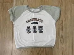 クマのイラスト Tシャツ 80センチ