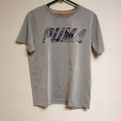 (おまけ付)PUMA　キッズ グレーTシャツとネイビーショートパンツセット