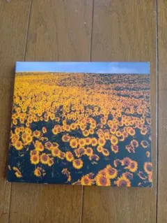 Item thumbnail for item 52f7a195-1397-4a10-81e5-941a4753f2b5