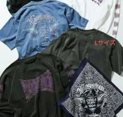 Item thumbnail for item f0a37c4f-8fe0-4fe3-9e54-755780885025